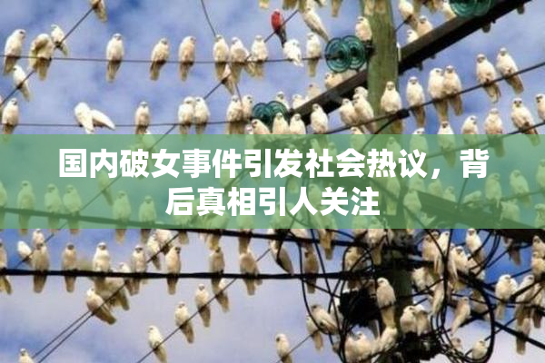 国内破女事件引发社会热议，背后真相引人关注