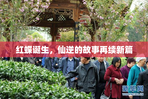 红蝶诞生，仙逆的故事再续新篇