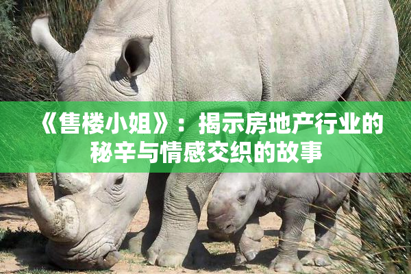 《售楼小姐》：揭示房地产行业的秘辛与情感交织的故事