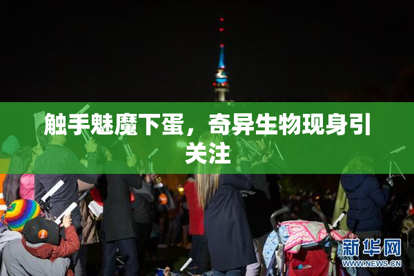 触手魅魔下蛋，奇异生物现身引关注