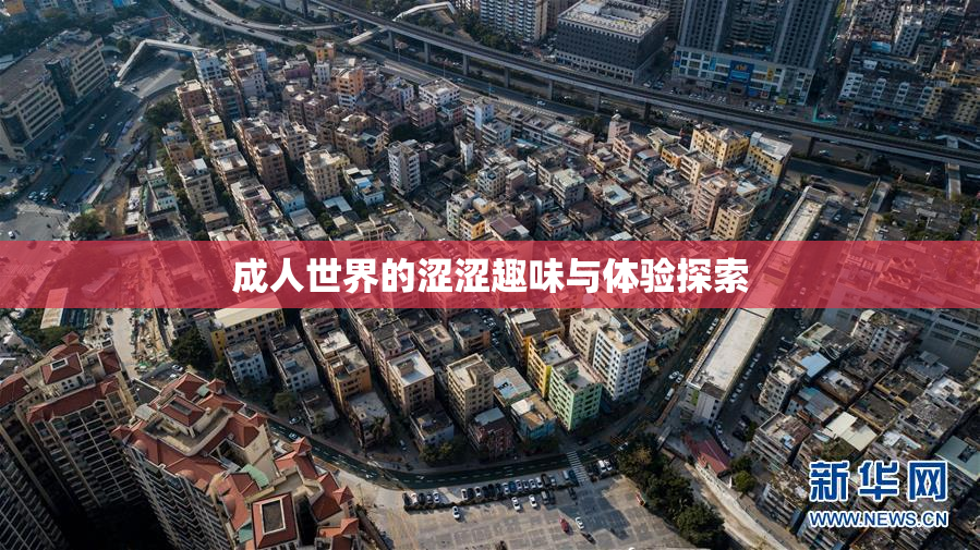 成人世界的涩涩趣味与体验探索