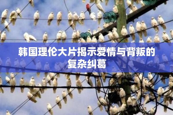 韩国理伦大片揭示爱情与背叛的复杂纠葛