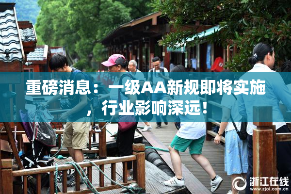 重磅消息：一级AA新规即将实施，行业影响深远！