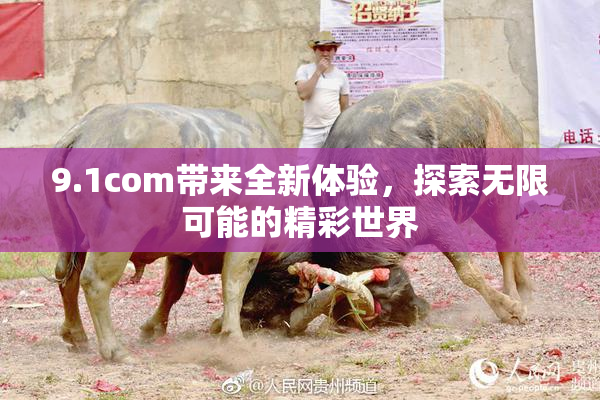 9.1com带来全新体验，探索无限可能的精彩世界