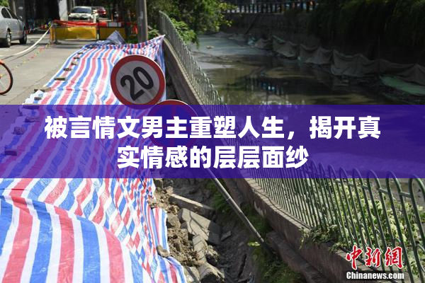 被言情文男主重塑人生，揭开真实情感的层层面纱