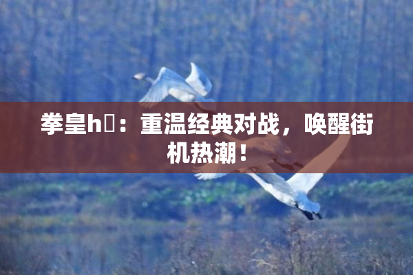 拳皇h婬：重温经典对战，唤醒街机热潮！