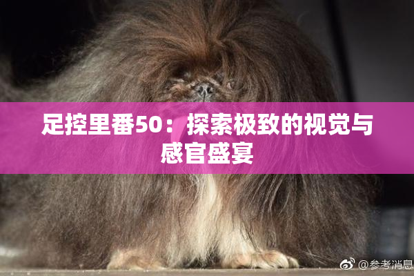 足控里番50：探索极致的视觉与感官盛宴