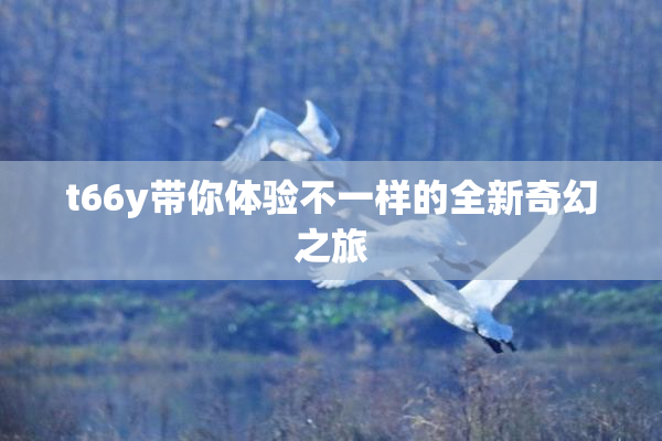 t66y带你体验不一样的全新奇幻之旅