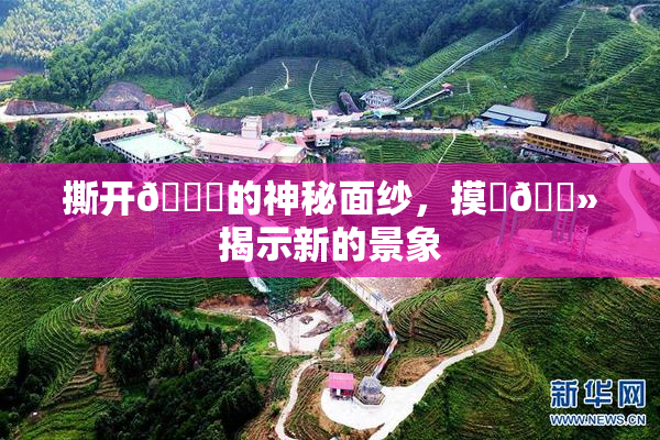 撕开👙的神秘面纱，摸‌🐻揭示新的景象