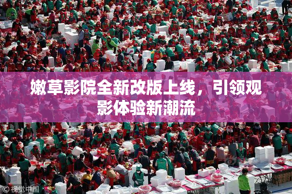 嫩草影院全新改版上线，引领观影体验新潮流