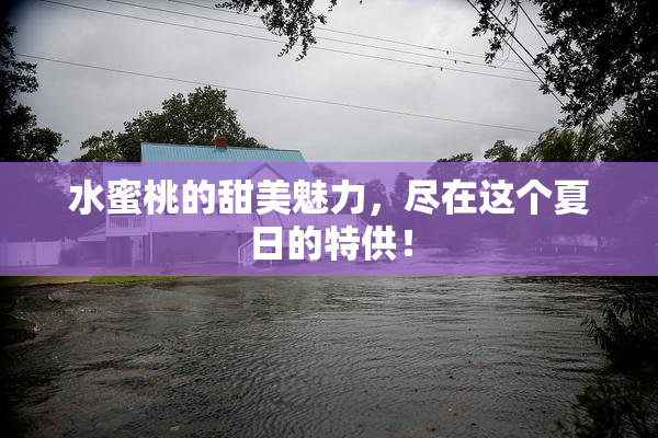 水蜜桃的甜美魅力，尽在这个夏日的特供！