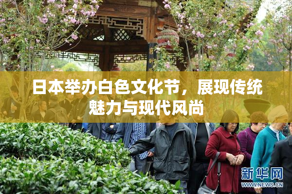日本举办白色文化节，展现传统魅力与现代风尚