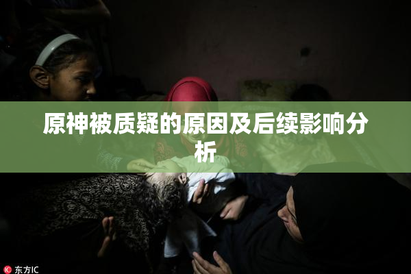原神被质疑的原因及后续影响分析