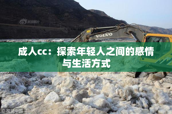 成人cc：探索年轻人之间的感情与生活方式