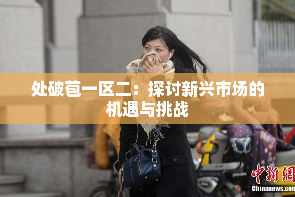 处破苞一区二：探讨新兴市场的机遇与挑战