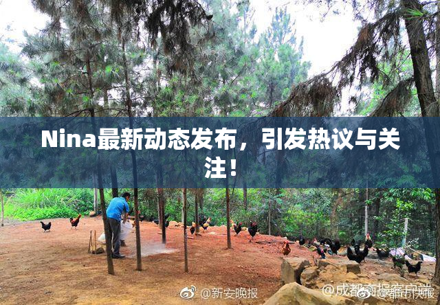 Nina最新动态发布，引发热议与关注！