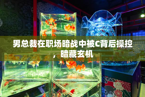男总裁在职场暗战中被C背后操控，暗藏玄机