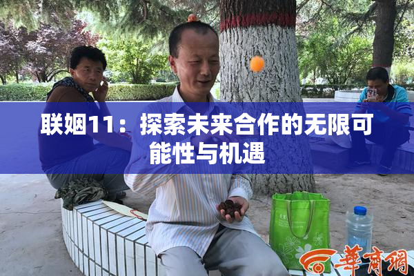 联姻11：探索未来合作的无限可能性与机遇