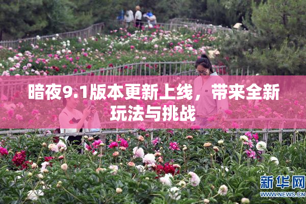 暗夜9.1版本更新上线，带来全新玩法与挑战