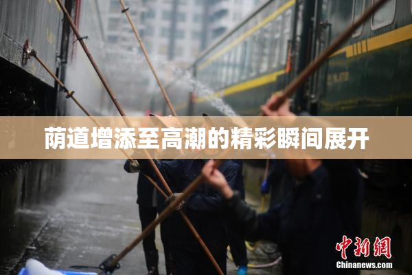 荫道增添至高潮的精彩瞬间展开