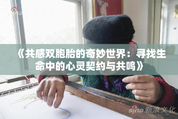 《共感双胞胎的奇妙世界：寻找生命中的心灵契约与共鸣》