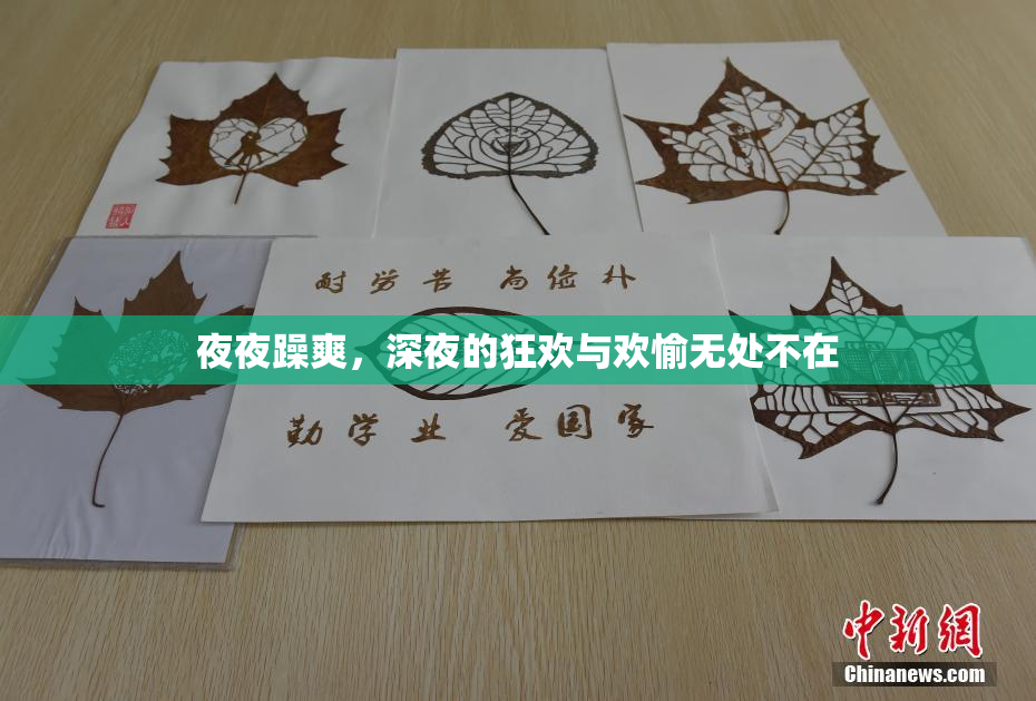 夜夜躁爽，深夜的狂欢与欢愉无处不在