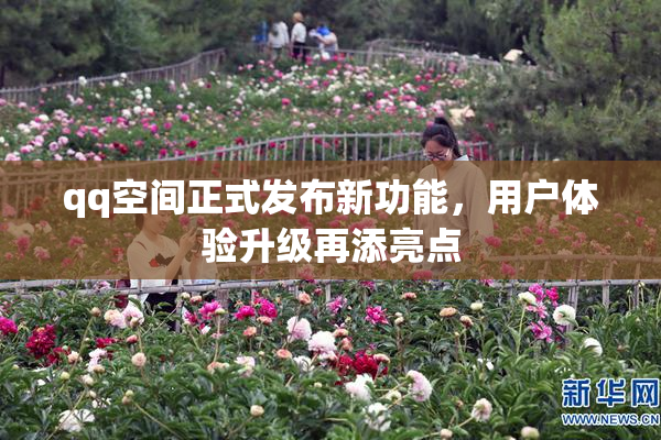 qq空间正式发布新功能，用户体验升级再添亮点