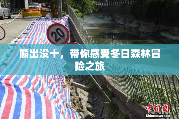 熊出没十，带你感受冬日森林冒险之旅