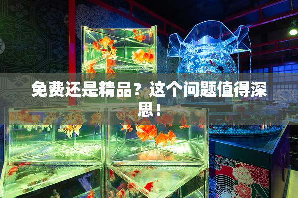 免费还是精品？这个问题值得深思！