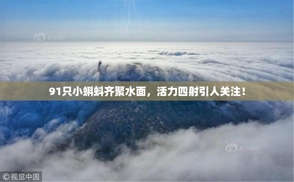 91只小蝌蚪齐聚水面，活力四射引人关注！