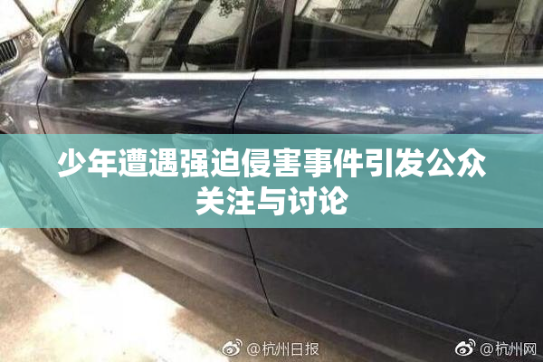 少年遭遇强迫侵害事件引发公众关注与讨论