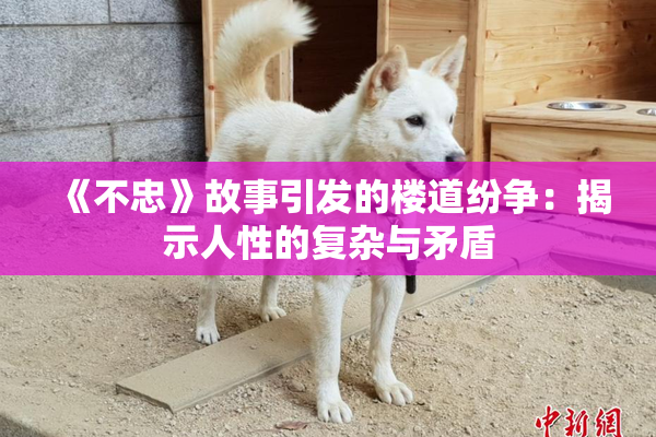 《不忠》故事引发的楼道纷争：揭示人性的复杂与矛盾