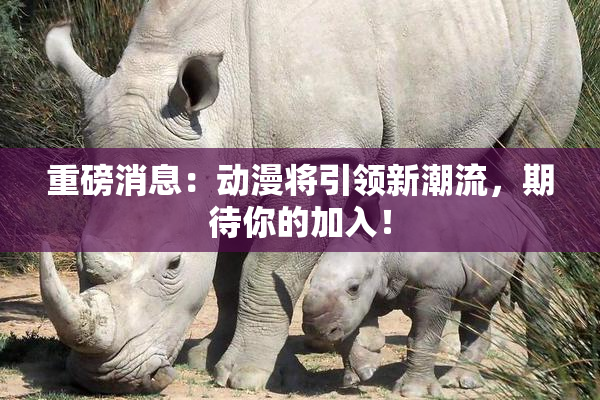 重磅消息：动漫将引领新潮流，期待你的加入！