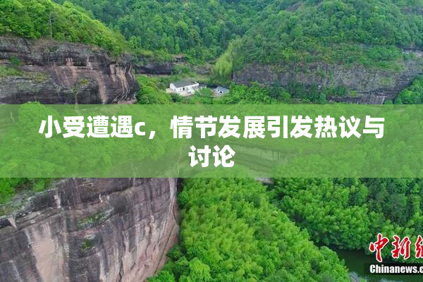 小受遭遇c，情节发展引发热议与讨论