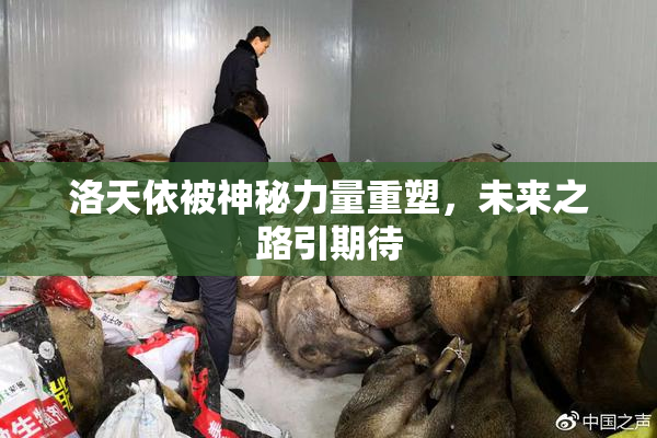 洛天依被神秘力量重塑，未来之路引期待