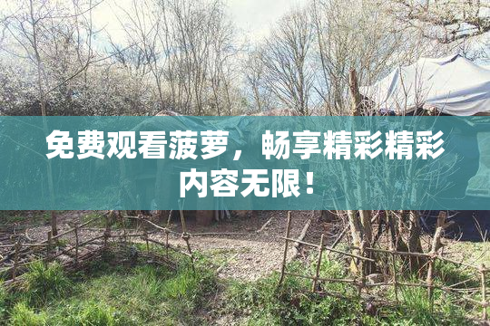 免费观看菠萝，畅享精彩精彩内容无限！