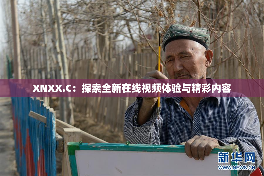 XNXX.C：探索全新在线视频体验与精彩内容