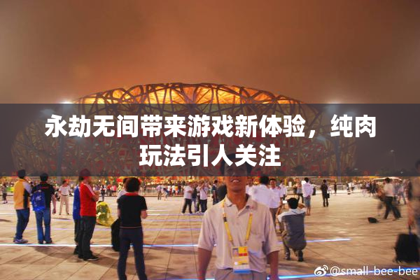 永劫无间带来游戏新体验，纯肉玩法引人关注