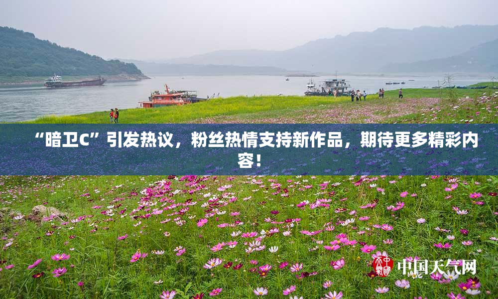 “暗卫C”引发热议，粉丝热情支持新作品，期待更多精彩内容！