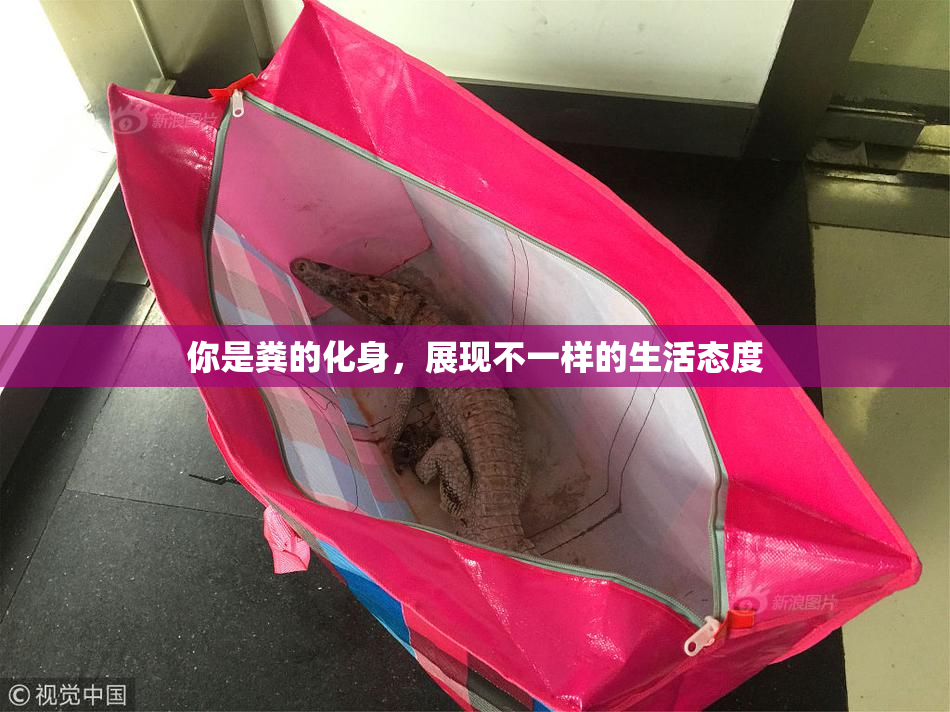 你是粪的化身，展现不一样的生活态度