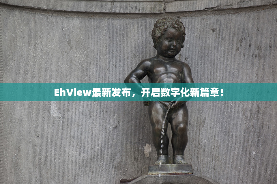 EhView最新发布，开启数字化新篇章！