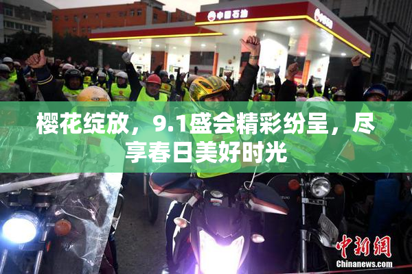 樱花绽放，9.1盛会精彩纷呈，尽享春日美好时光
