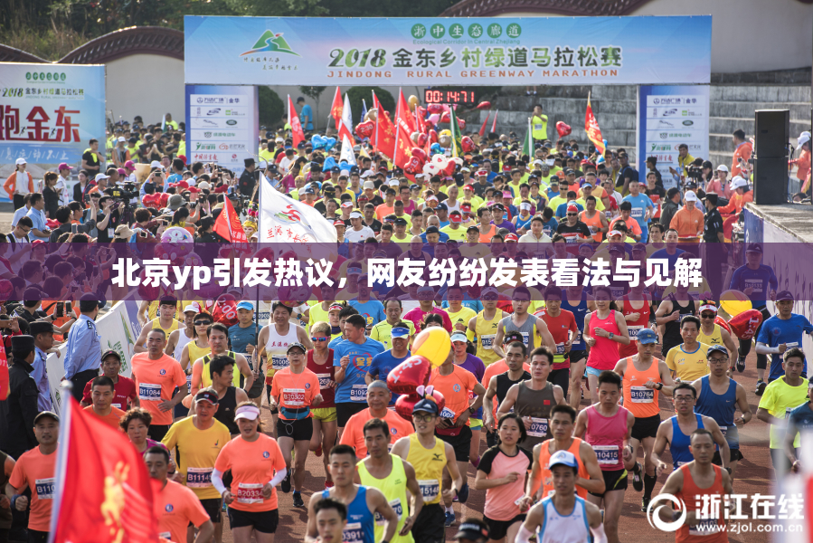 北京yp引发热议，网友纷纷发表看法与见解