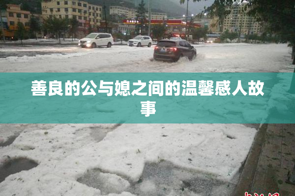 善良的公与媳之间的温馨感人故事