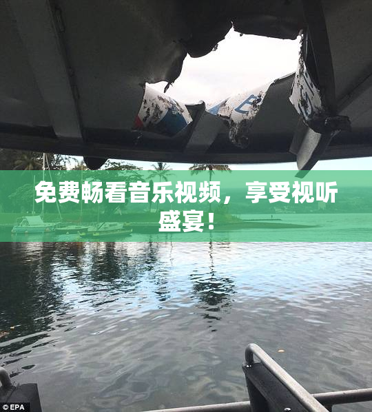 免费畅看音乐视频，享受视听盛宴！