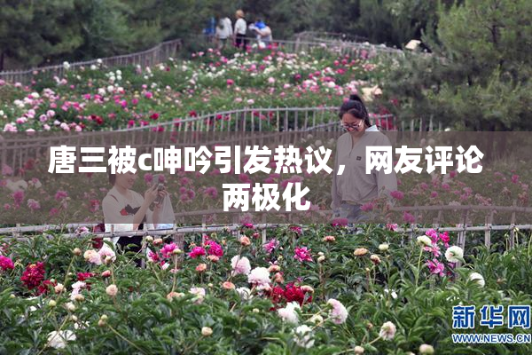 唐三被c呻吟引发热议，网友评论两极化