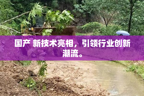 国产 新技术亮相，引领行业创新潮流。