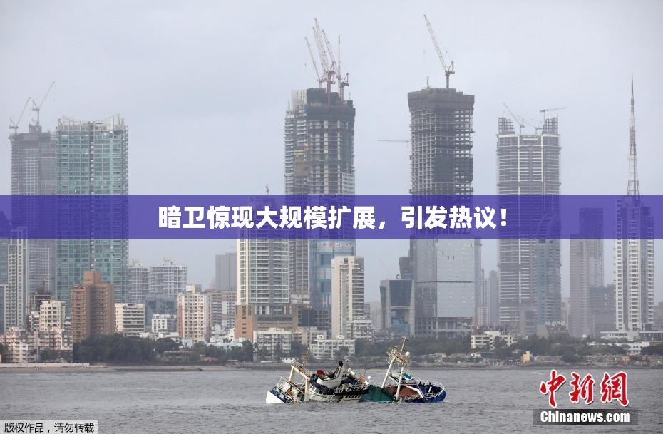 暗卫惊现大规模扩展，引发热议！