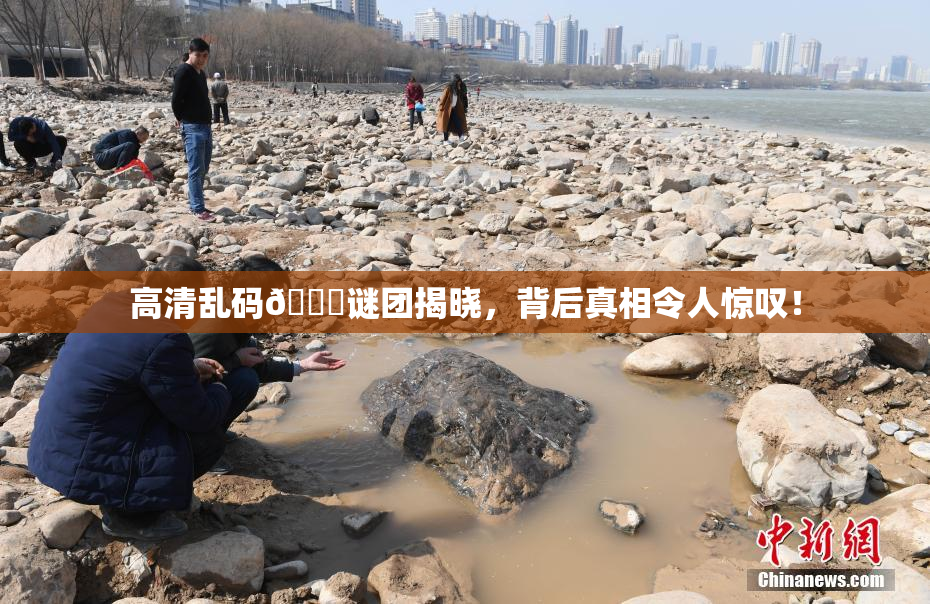 高清乱码🔞谜团揭晓，背后真相令人惊叹！