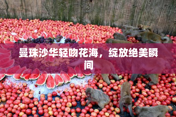 曼珠沙华轻吻花海，绽放绝美瞬间